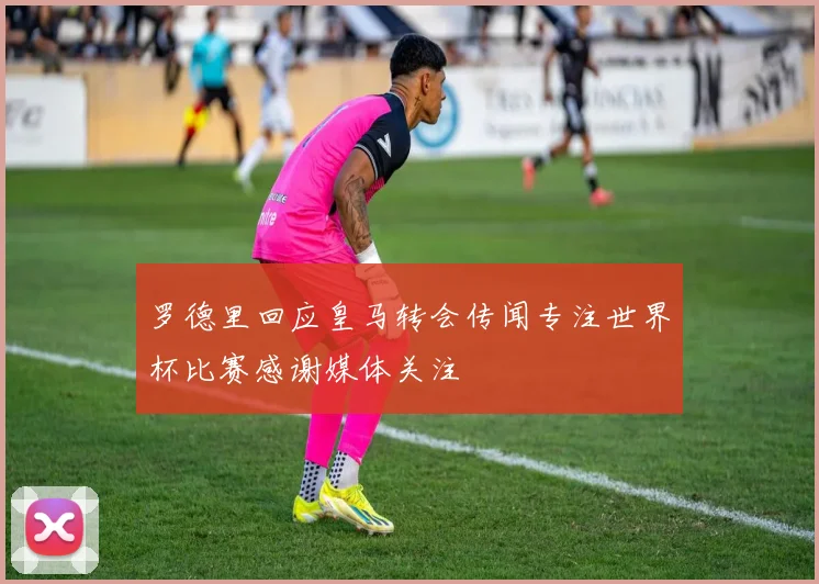 罗德里回应皇马转会传闻专注世界杯比赛感谢媒体关注