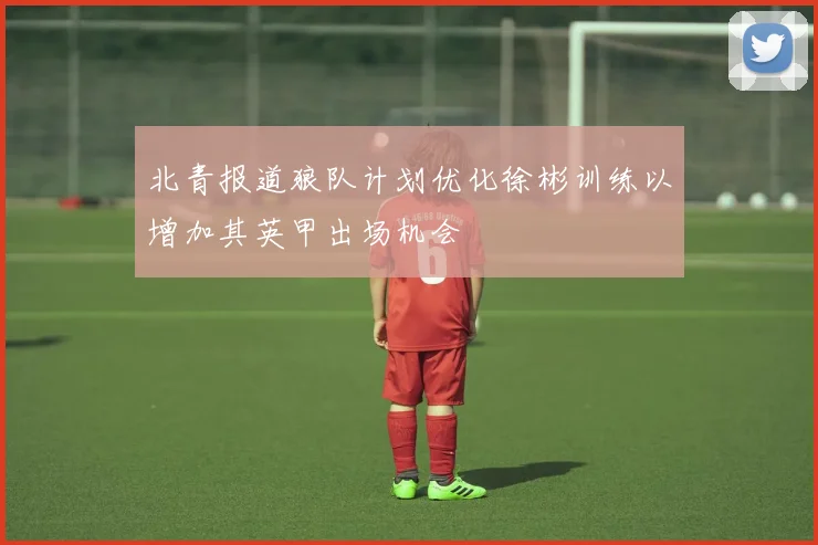 北青报道狼队计划优化徐彬训练以增加其英甲出场机会