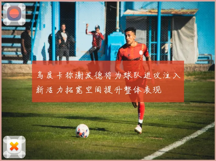 乌度卡称谢泼德将为球队进攻注入新活力拓宽空间提升整体表现